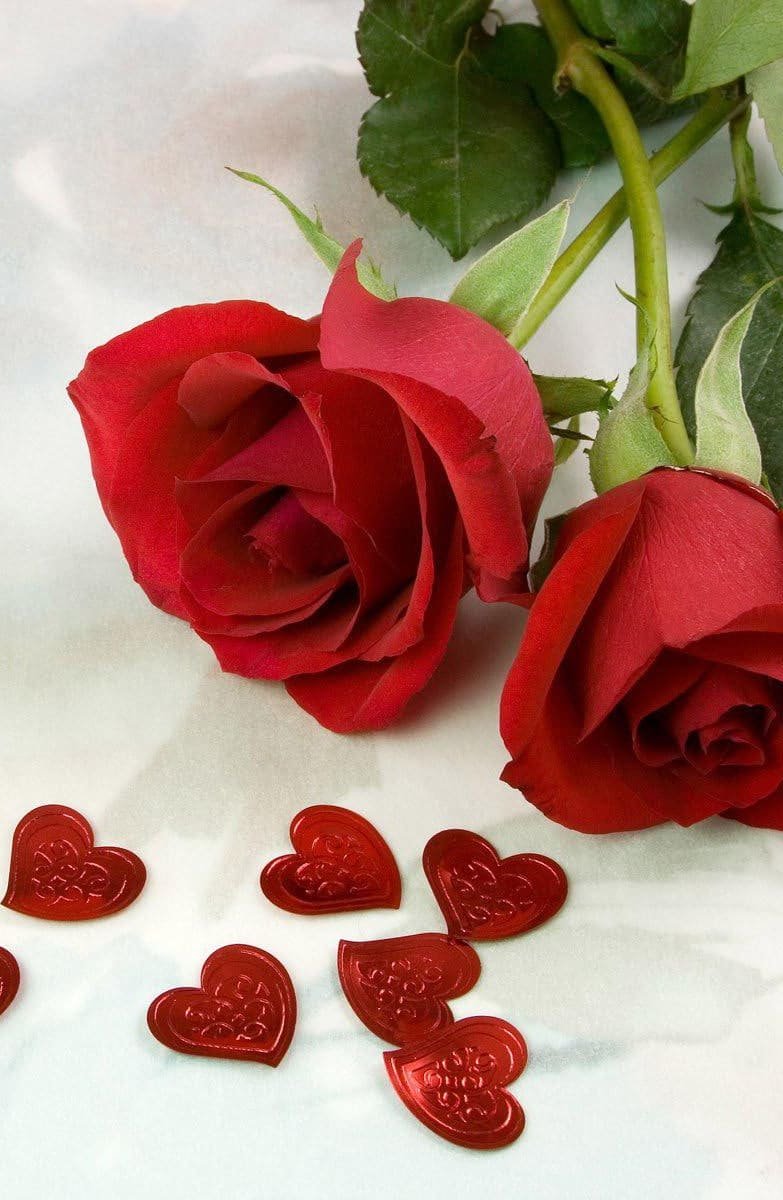 HD wallpaper roses, flowers, two, red, heart, love-Valentine’s Day- cards